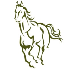Pferdepension in Stäfa